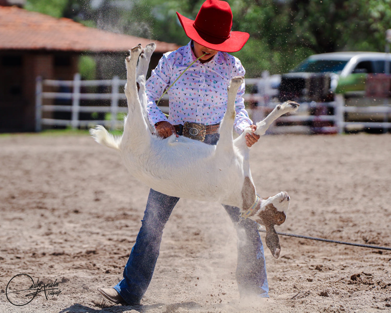 Amarre de Chivo 8