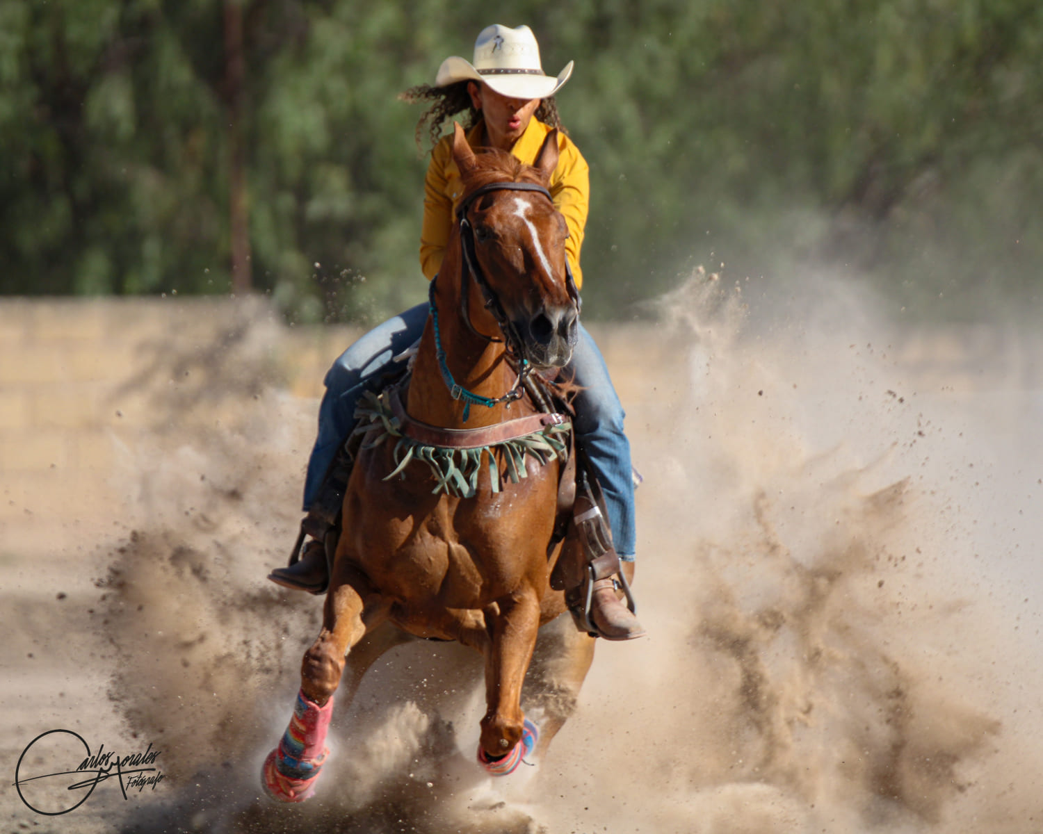 Carrera entre Polos 5